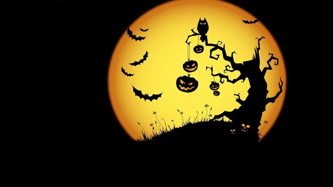 美媒：TikTok等应用推动直播购物在美国升温